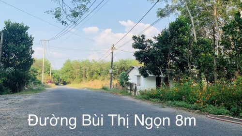 Hạ giá tiếp! Bán lô đất Mặt tiền đường Bùi Thị Ngọn, dt 4.984m, xã An Nhơn Tây, Củ Chi.