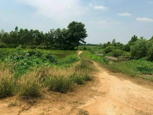 Bán đất Củ Chi, lô đất mặt tiền đường kênh, dt 4.213m2 đất vườn, xã An Phú